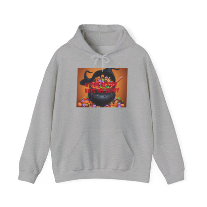 Witch Better Have My Candy - Hooded Sweatshirt