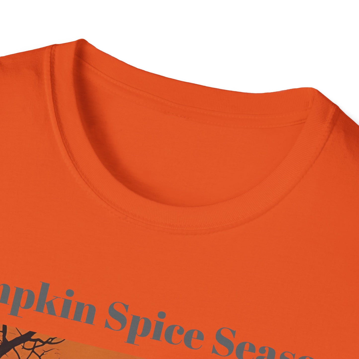 Pumpkin Spice Season T-Shirt