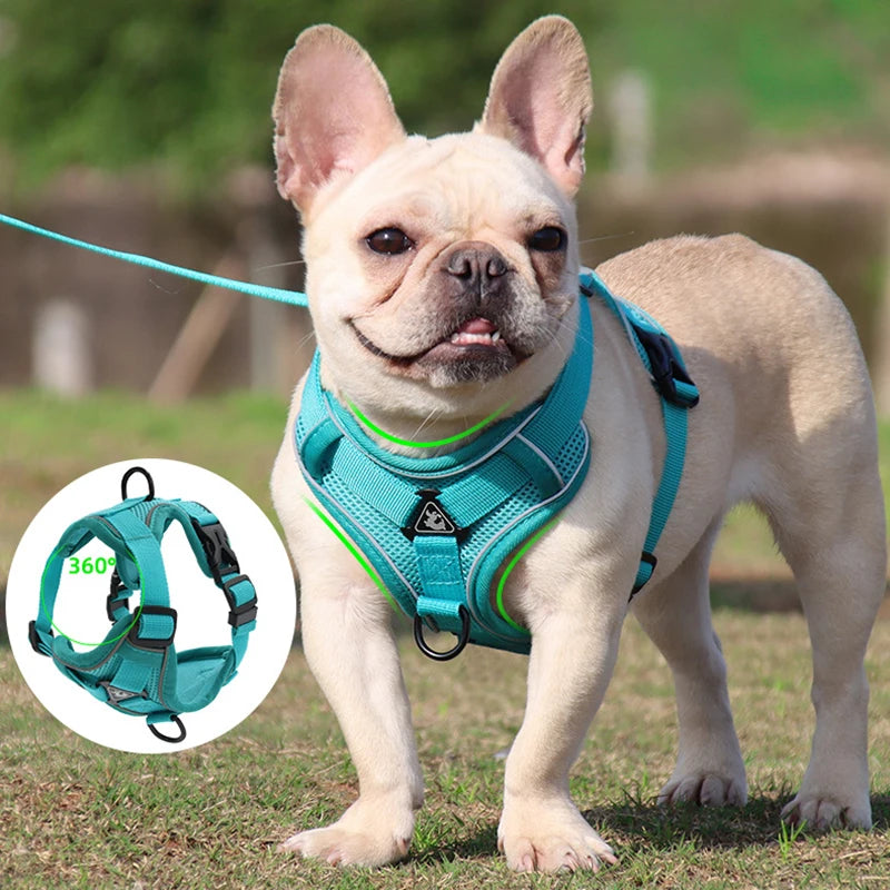 Dog Harness and Leash Set