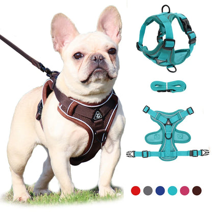 Dog Harness and Leash Set