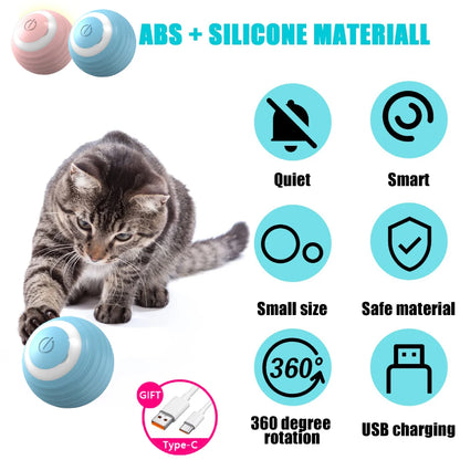 Cat Interactive Ball Toy