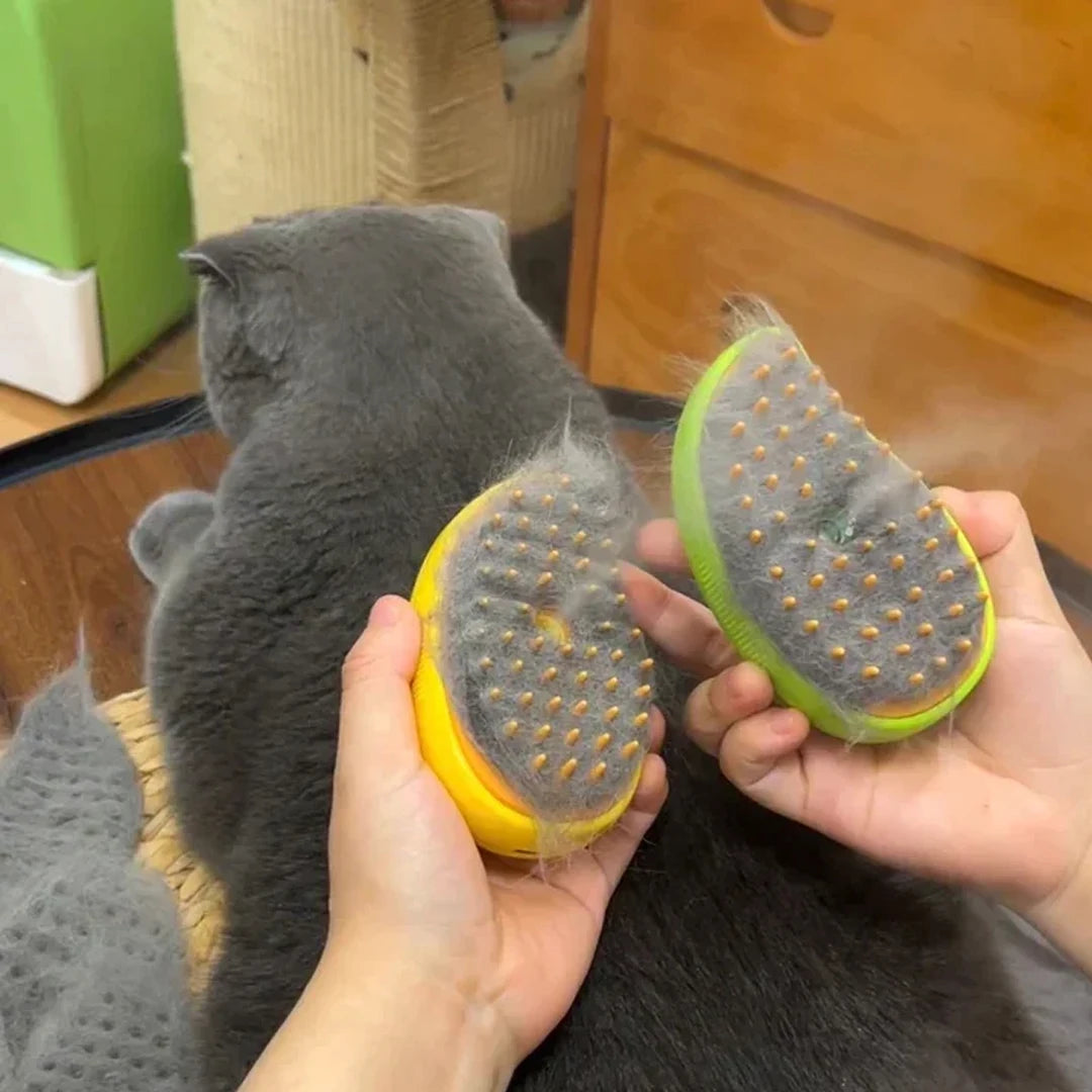 Cat Steam Brush