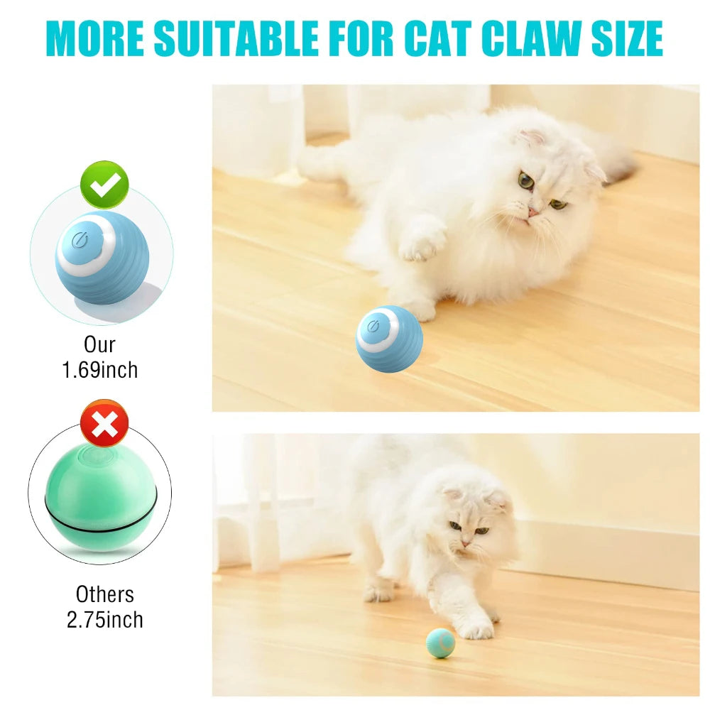 Cat Interactive Ball Toy