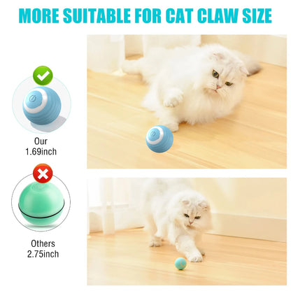 Cat Interactive Ball Toy