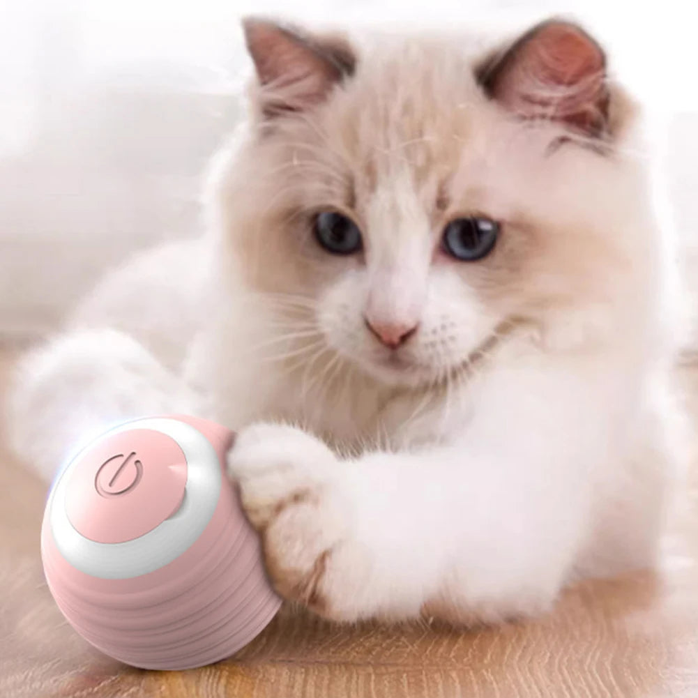 Cat Interactive Ball Toy