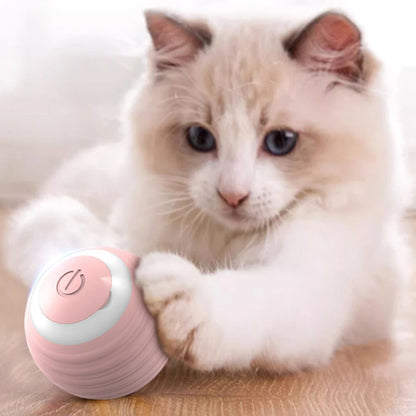 Cat Interactive Ball Toy