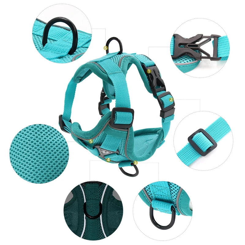 Dog Harness and Leash Set