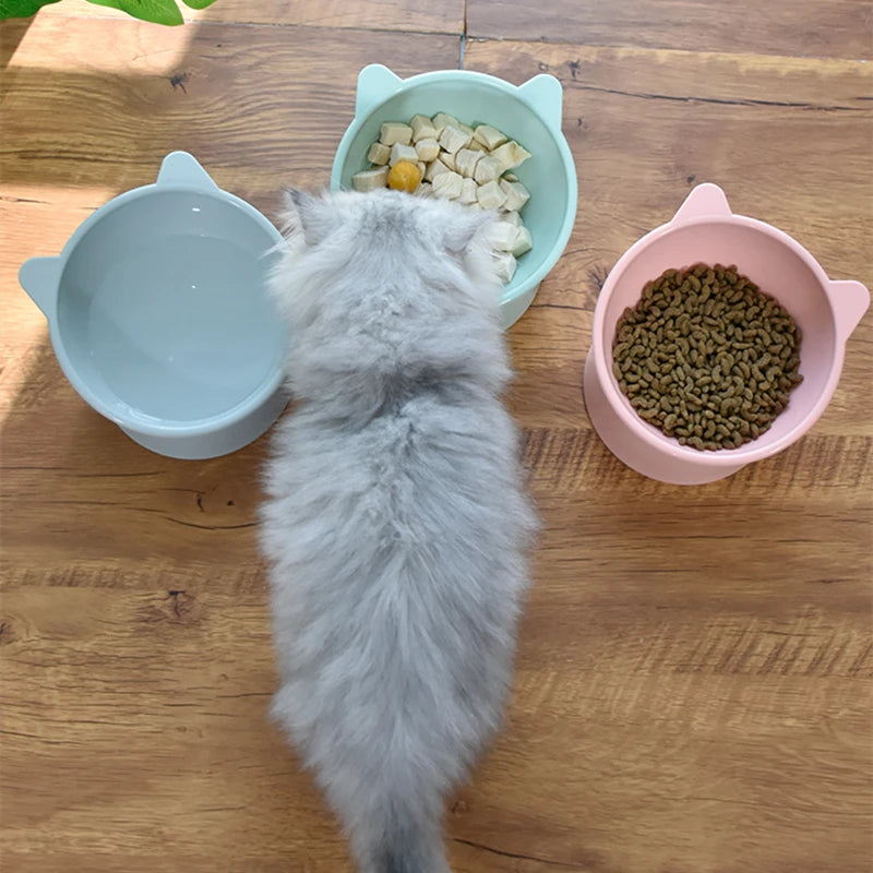 Tall Cat Bowl