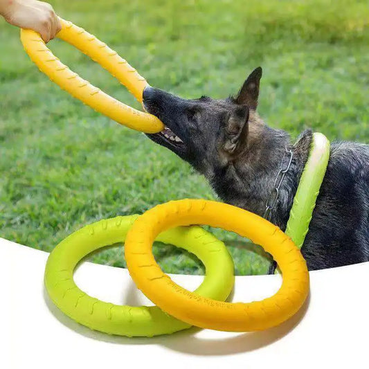 Dog Flying Ring