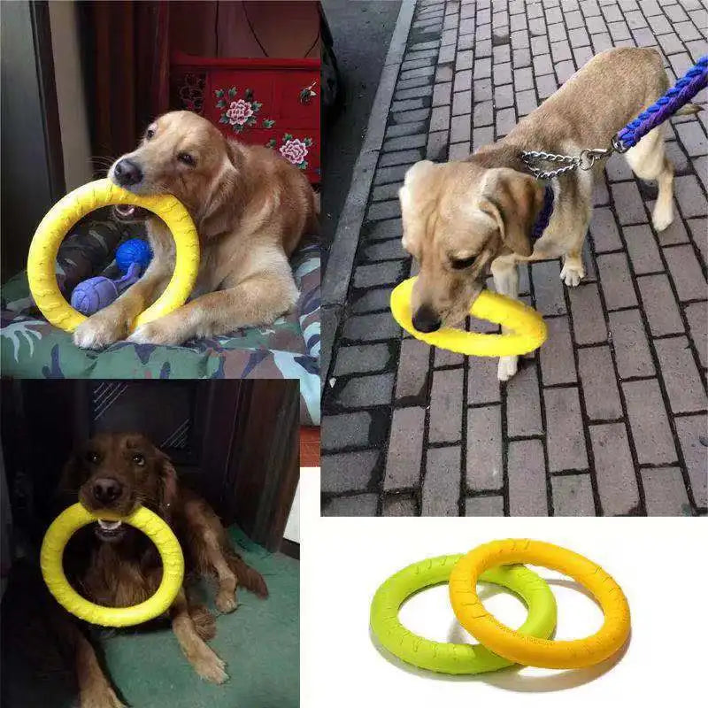 Dog Flying Ring