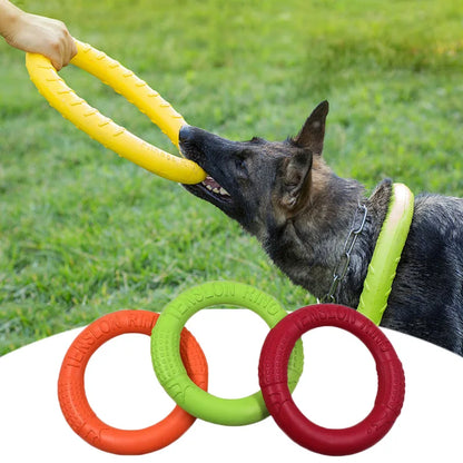 Dog Flying Ring