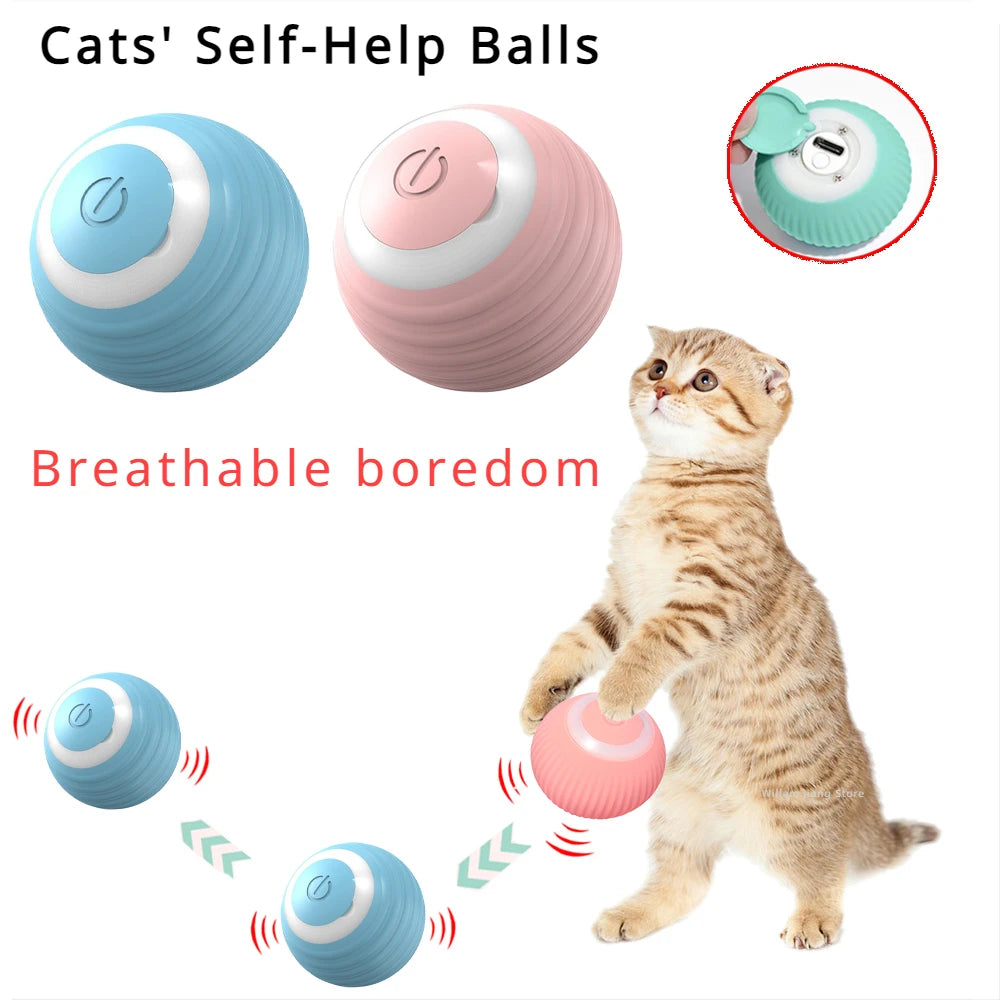 Cat Interactive Ball Toy