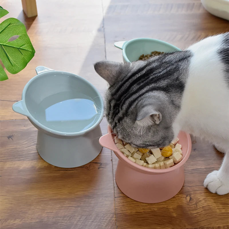 Tall Cat Bowl